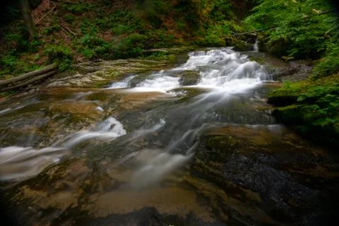 Mountain river - stream flowing through thick green forest, Bistriski Vintgar Stock Photos