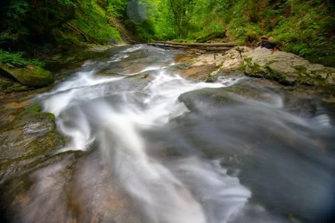 Mountain river - stream flowing through thick green forest, Bistriski Vintgar Stock Photos