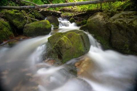 Mountain river - stream flowing through thick green forest, Bistriski Vintgar Stock Photos