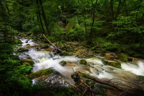 Mountain river - stream flowing through thick green forest, Bistriski Vintgar Stock Photos