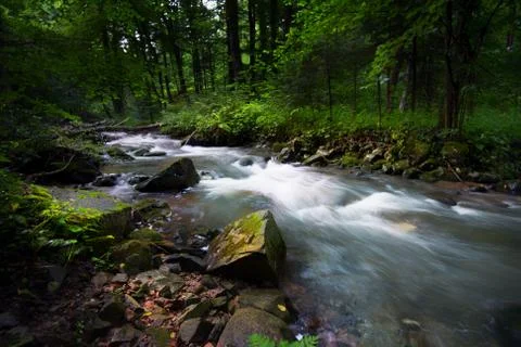 Mountain river - stream flowing through thick green forest, Bistriski Vintgar Stock Photos