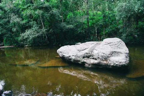 Mountain river stream flowing from waterfall - Landscape nature green plant.. Stock Photos