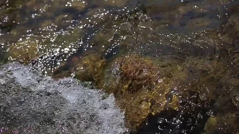 Mountain river stream 스톡 동영상 82827635