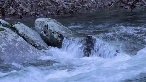 Mountain River Stream Stock Footage 100930494