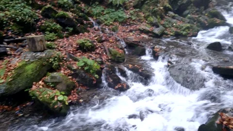 Mountain river stream. Stock Footage 240713174