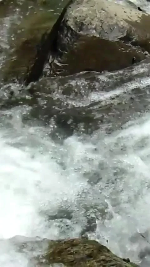 Mountain River Stream Stock Footage 303676589