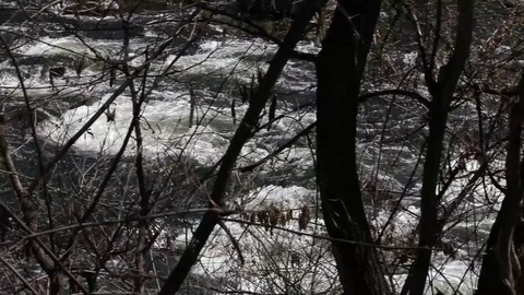 Mountain River Stream In The Forest, Stock Footage 107126197