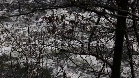 Mountain River Stream In The Forest, Vídeo Stock 107126198