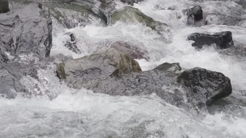Mountain River Stream Slow Motion Stock Footage 205004636