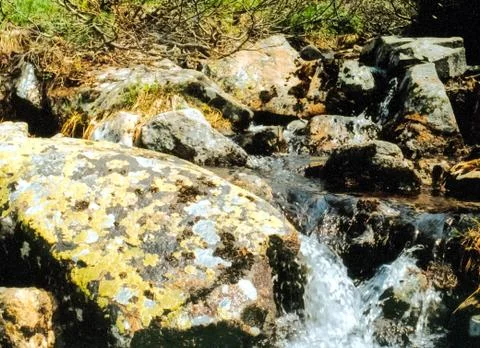 The mountain river is stream. Water runs on the rocks. Stock Photos