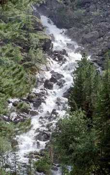 The mountain river is stream. Water runs on the rocks. Stock Photos