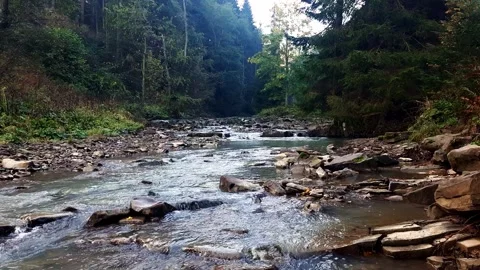 Mountain river stream in woods. Stock Footage 254812749
