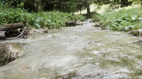 Mountain river in summer day Stock Footage 117031973