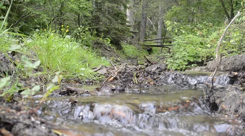 Mountain river in summer Stock Footage 24770012