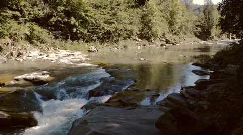 The mountain river at summer Stock Footage 66813715