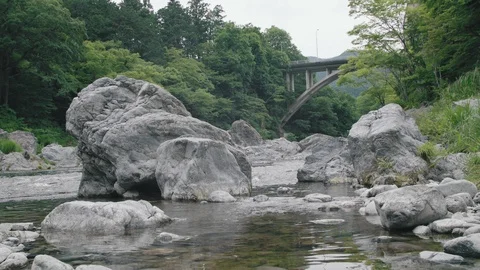 Mountain river in summer  Stock Footage 110387909