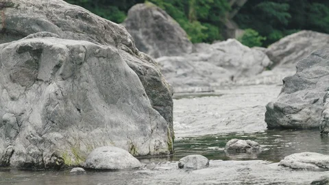 Mountain river in summer  Stock Footage 110404200