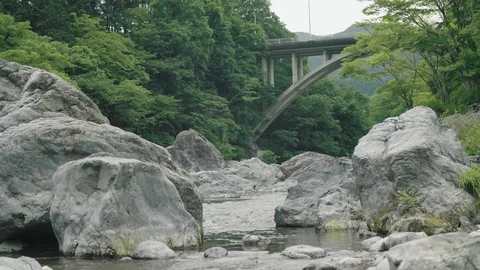 Mountain river in summer  Stock Footage 110464617