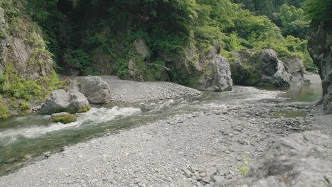 Mountain river in summer  Stock Footage 110498313