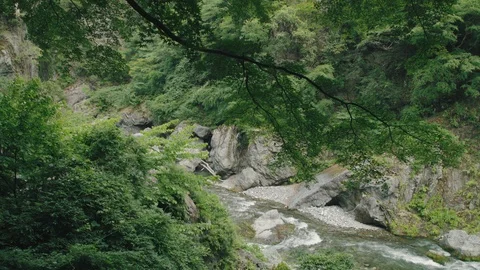 Mountain river in summer  Stock Footage 110618222
