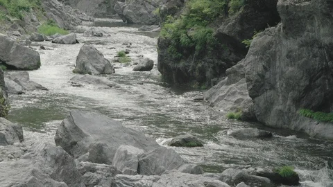 Mountain river in summer  Stock Footage 110621208