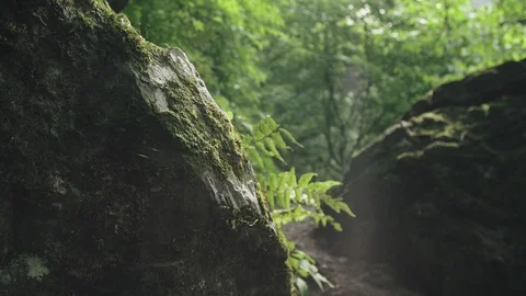 Mountain river in summer  Stock Footage 110768940