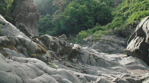 Mountain river in summer  Stock Footage 110772354