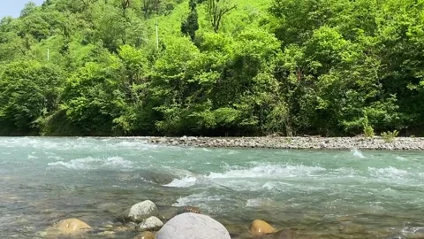 Mountain river in summer Stock Footage 150665276