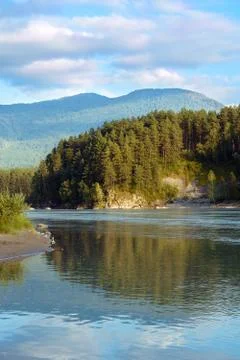 Mountain river in summer Stock Photos