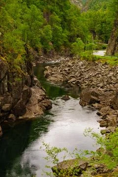 Mountain river in summer Stock Photos