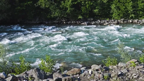 Mountain river in summer. A powerful, fast stream of clear water pours through Stock Footage 247113964