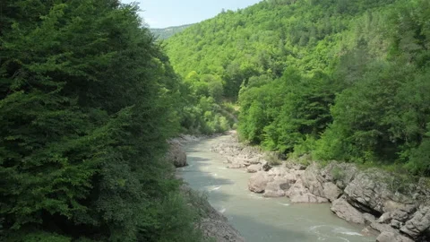 Mountain river in summer. View from the bridge on forest and the river course Stock Footage 203769286