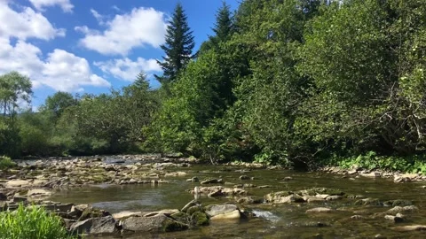 Mountain river on a sunny day Video stock 138998426