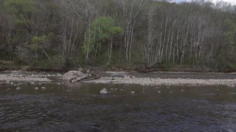 Mountain river, sunny day walking through the canyon and forest Stock Footage 279621138