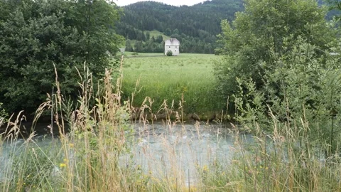 A mountain river surrounded by bushes, house at the background Stock Footage 157417183