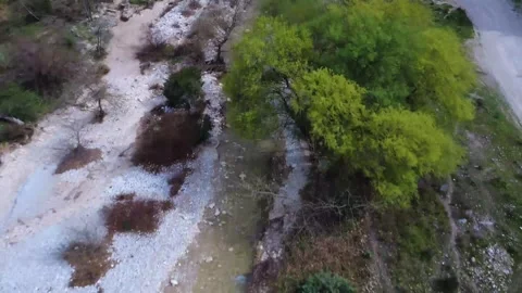Mountain River Surrounded by Lush Trees and a Roadway 動画素材 305235913