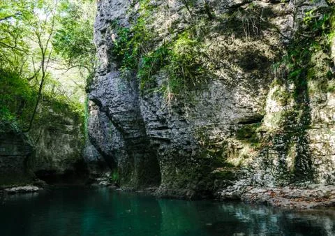 Mountain river with tall cliffs and green plants in a canyon in Georgia in au Stock Photos