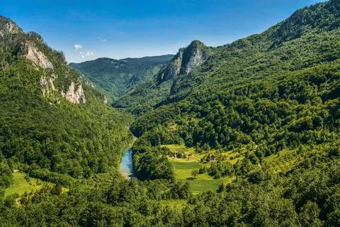 Mountain river Tara Stock Photos
