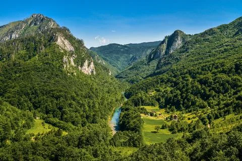 Mountain river Tara Stock Photos