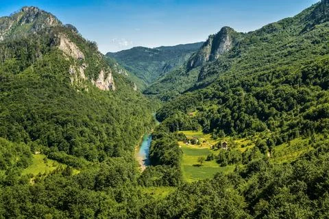 Mountain river Tara Stock Photos