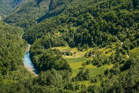 Mountain river Tara Stock Photos