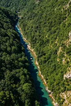 Mountain river Tara Stock Photos