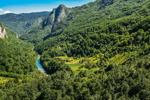 Mountain river Tara Foto stock
