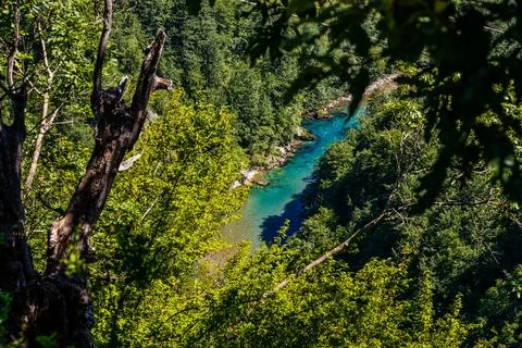 Mountain river Tara Stock Photos