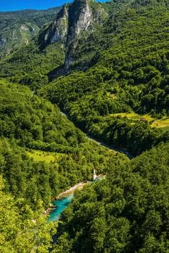 Mountain river Tara Stock Photos