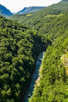 Mountain river Tara Stock Photos