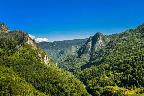 Mountain river Tara Stock Photos