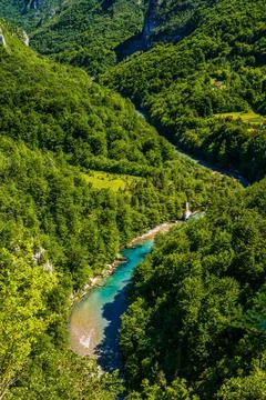Mountain river Tara Stock Photos