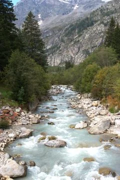 Mountain River through the Alpine valley Stock Photos