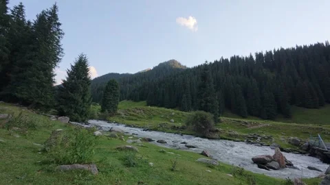 Mountain river through a conifer forest, Altyn-Arashan, Kyrgyzstan Stock Footage 347242594